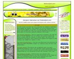 Gagner de l'argent avec le web